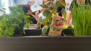 Mehr über den Artikel erfahren Die Gartensaison ist eröffnet.