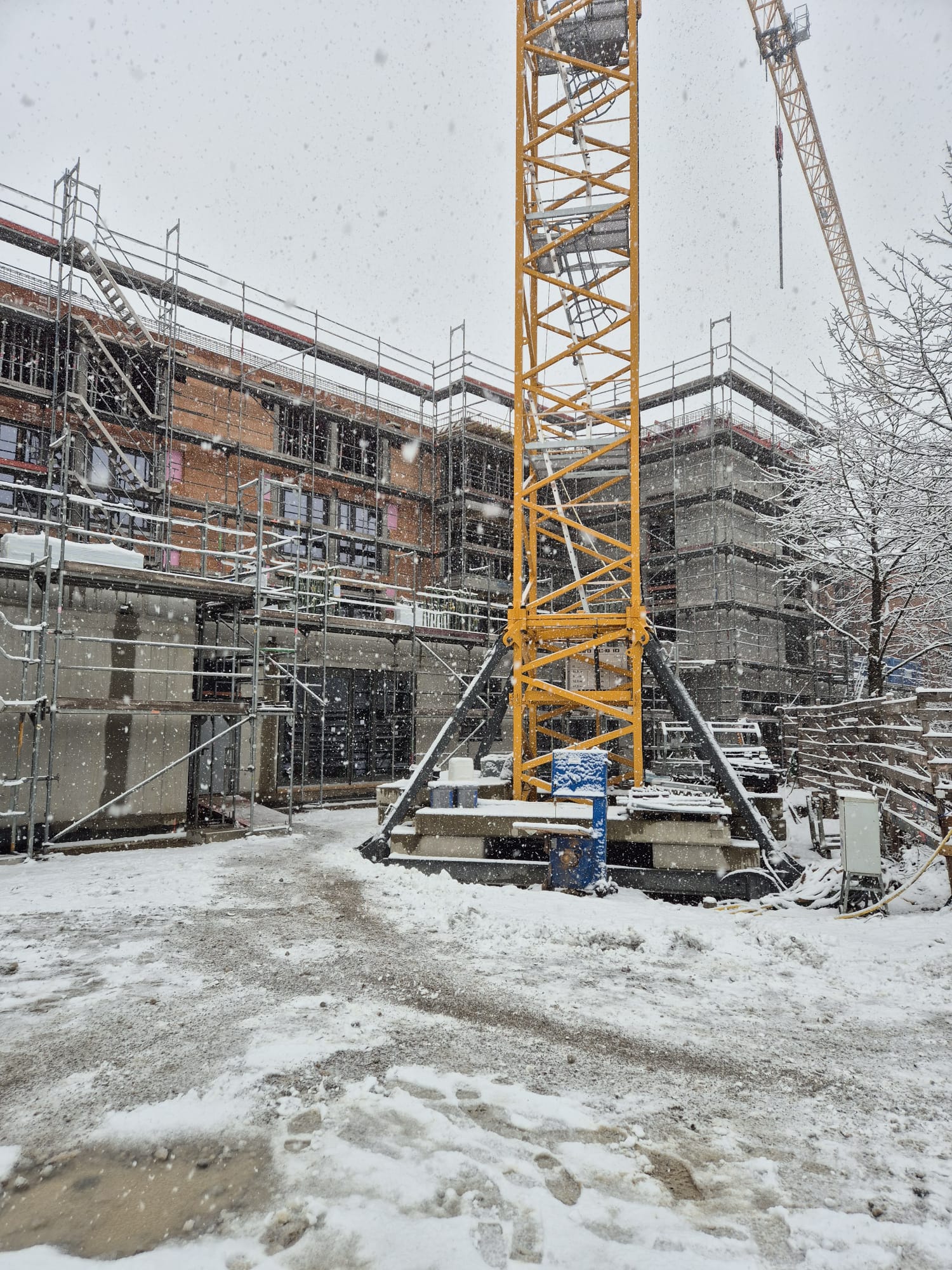 WhatsApp Image 2026-02-20 at 09.51.22 (1)