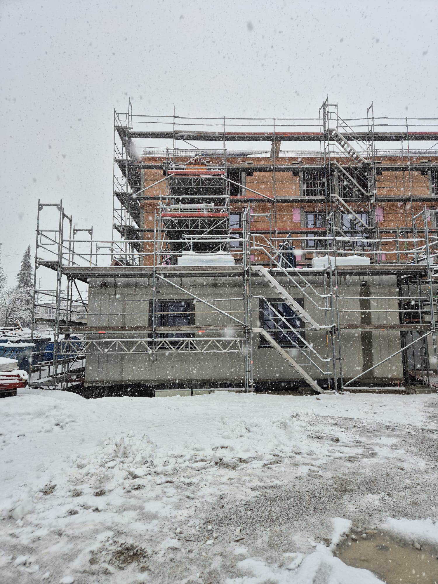 Geschäftsführung
Herr Paul Motezik