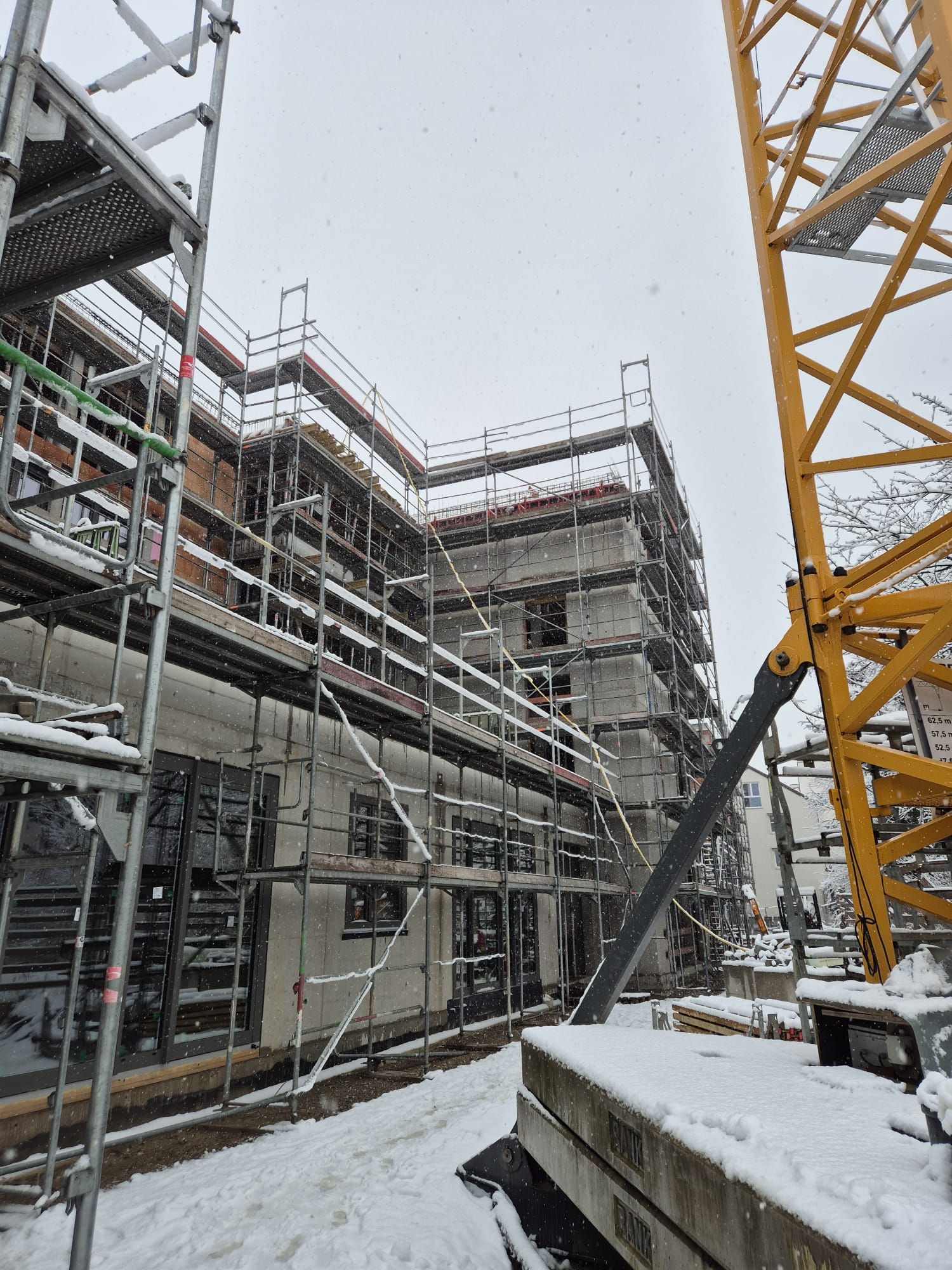 WhatsApp Image 2026-02-20 at 09.51.24 (1)