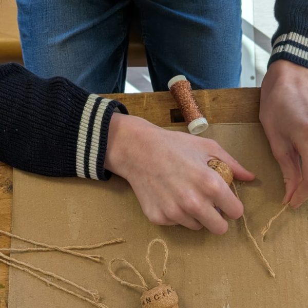 WhatsApp Image 2026-02-26 at 10.51.50